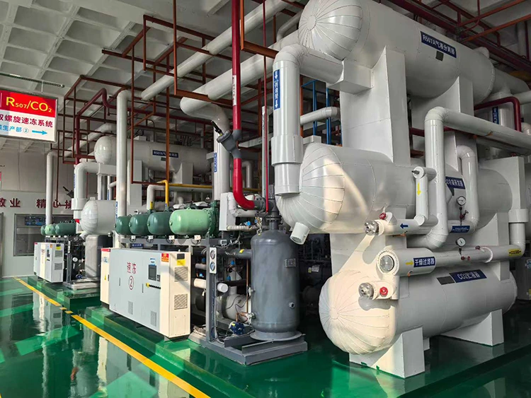 Unidade Compressora de Refrigeração Subcrítica CO₂